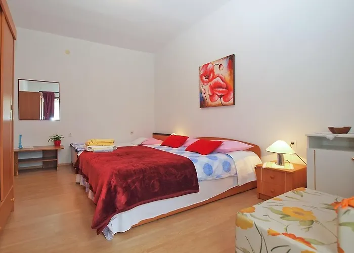 Vladimira 1569 풀라