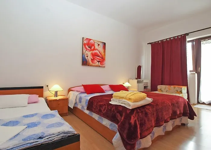 Vladimira 1569 Πούλα